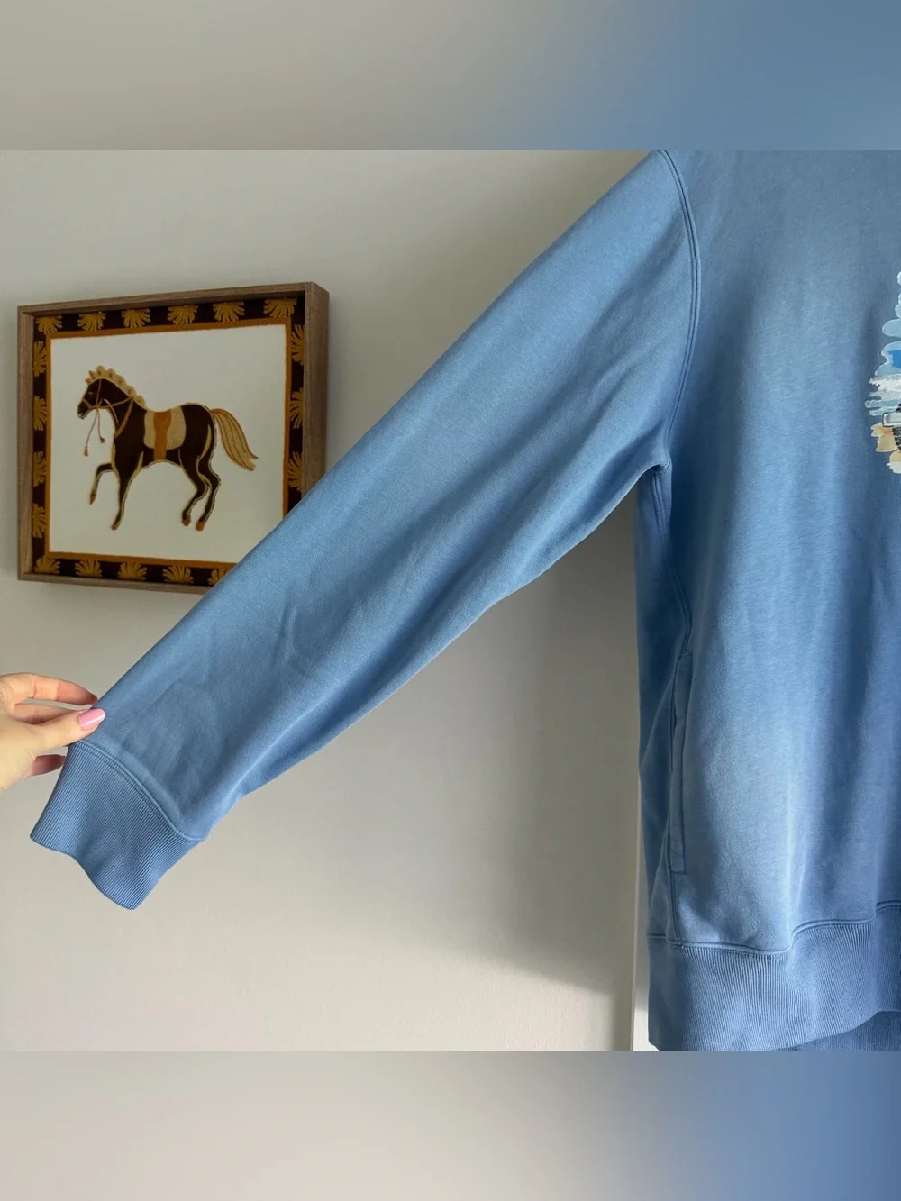 Polo Ralph Lauren Light Blue Beach Bear Hoodie NWT